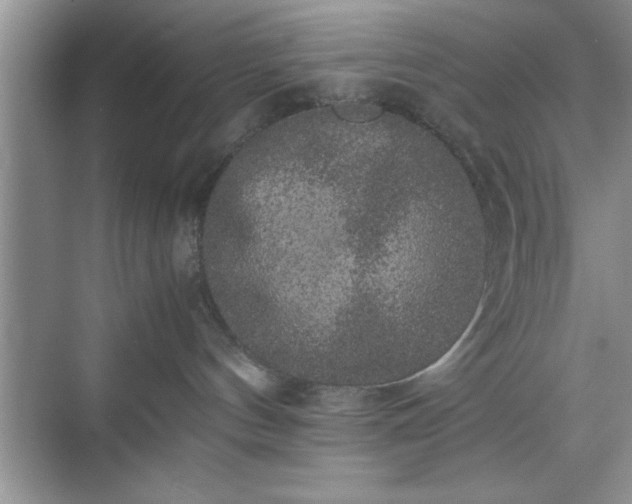 X0000071780144200607071439