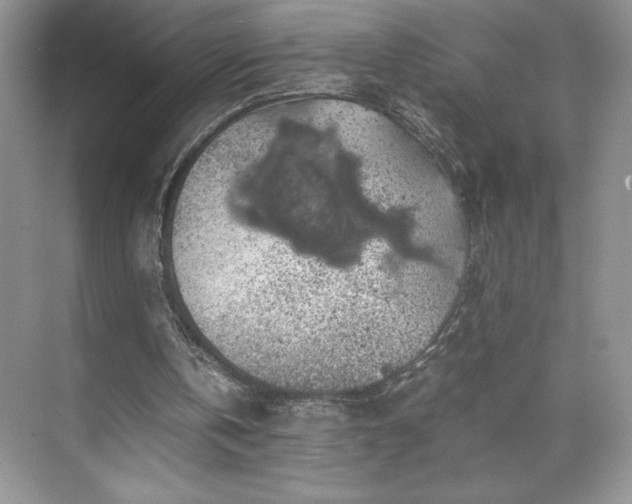 X0000071780146200607071438