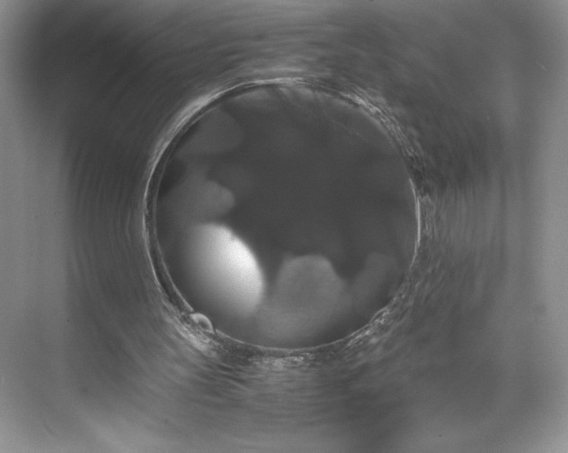 X0000071780147200607071438