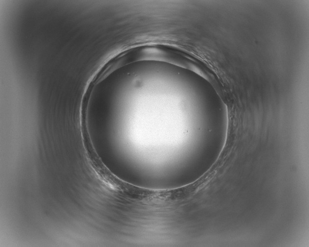 X0000071780148200607071438