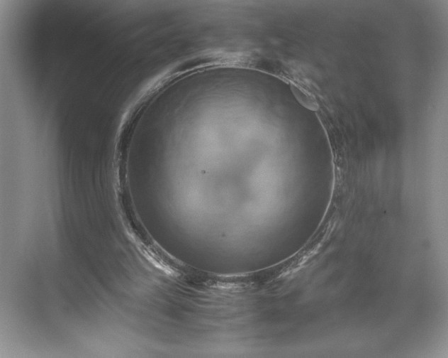 X0000071780149200607071438