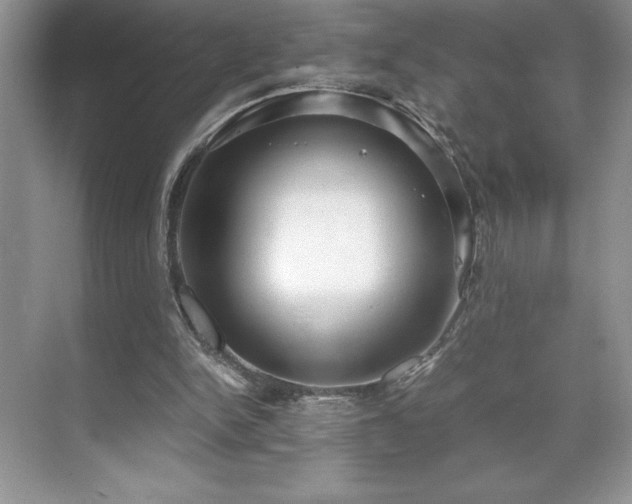 X0000071780150200607071439