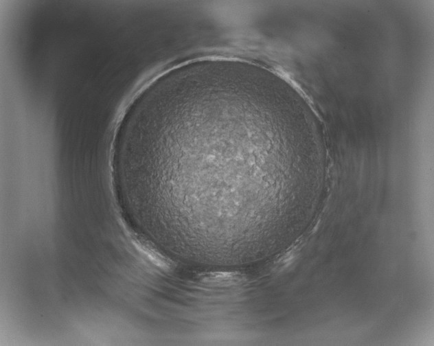 X0000071780151200607071439