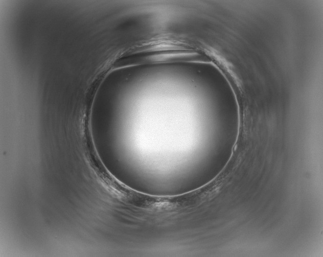 X0000071780153200607071439