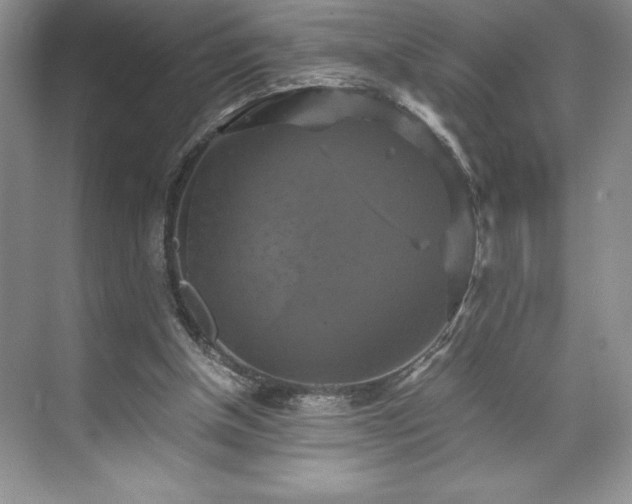 X0000071780154200607071439