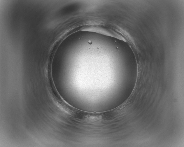 X0000071780155200607071439