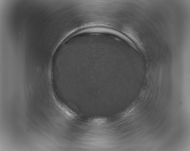 X0000071780156200607071439