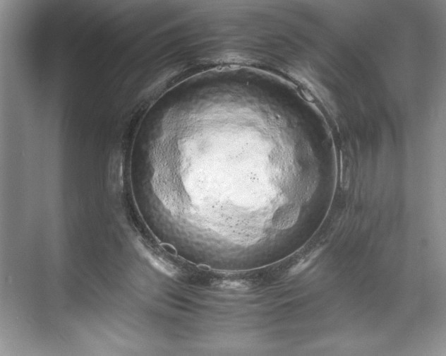 X0000071780157200607071439