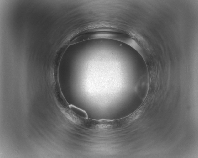 X0000071780158200607071439