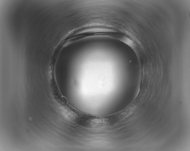 X0000071780160200607071439