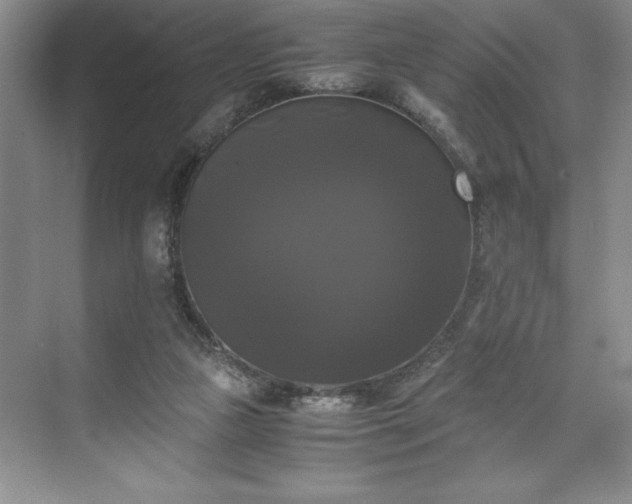 X0000071780161200607071439