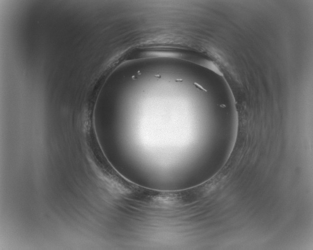 X0000071780164200607071439