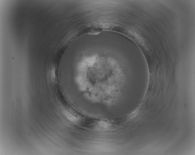 X0000071780166200607071439