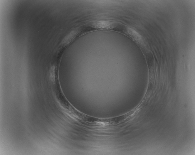 X0000071780167200607071439