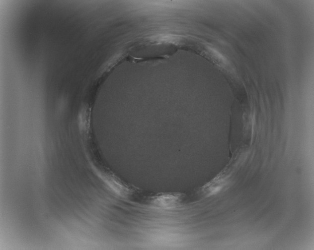 X0000071780168200607071439