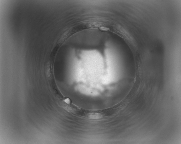 X0000071780169200607071439