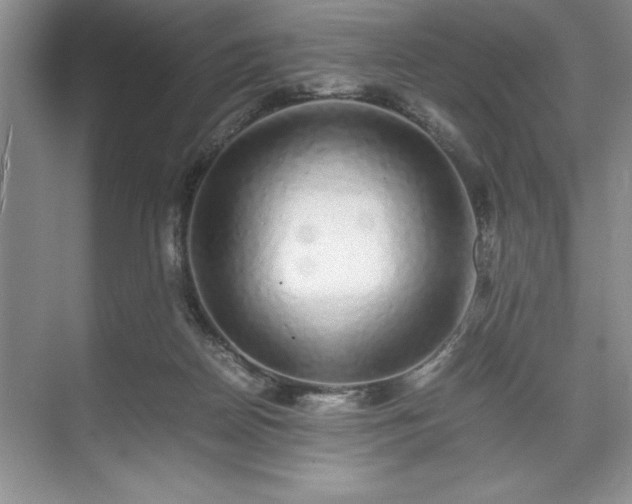 X0000071780170200607071439