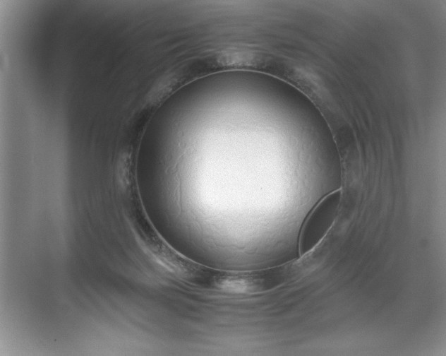 X0000071780171200607071439