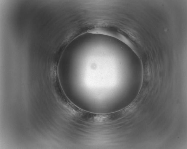 X0000071780172200607071439