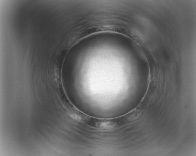 X0000071780173200607071439