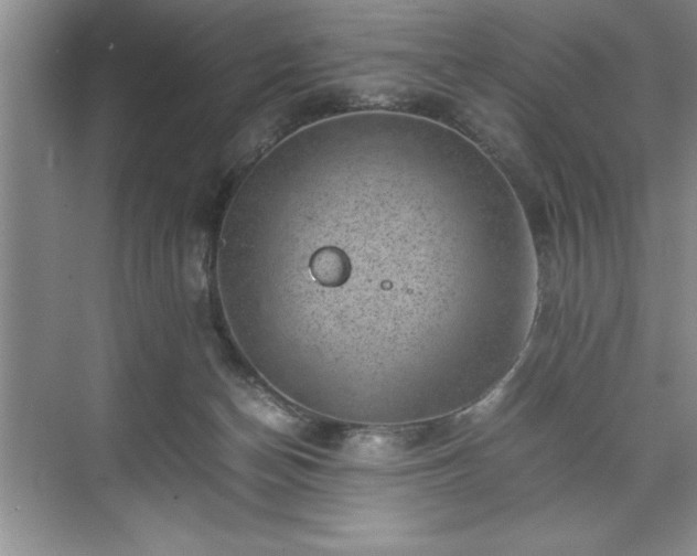 X0000071780174200607071439