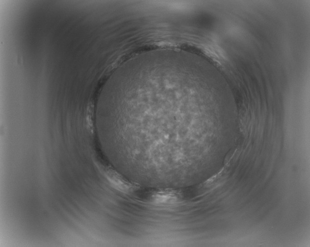 X0000071780175200607071439