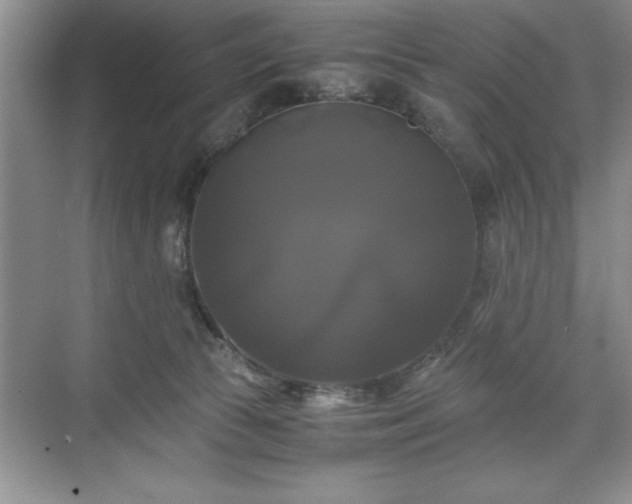 X0000071780177200607071439