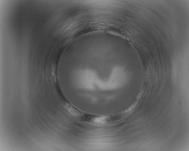 X0000071780178200607071439