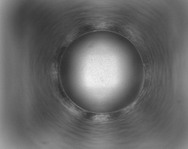 X0000071780179200607071439