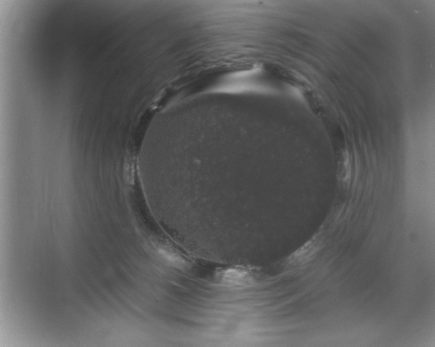 X0000071780180200607071439