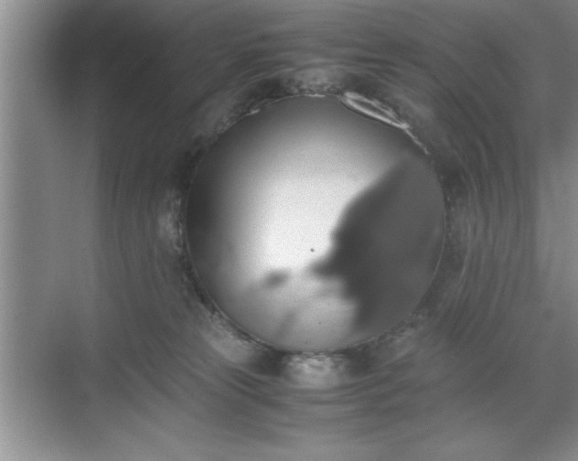 X0000071780181200607071439