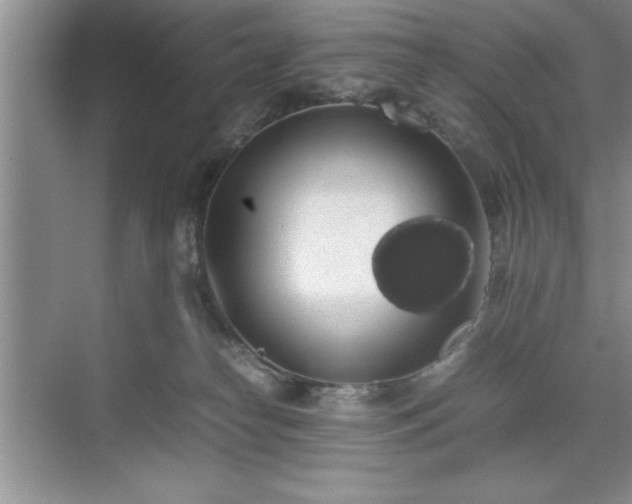 X0000071780182200607071439