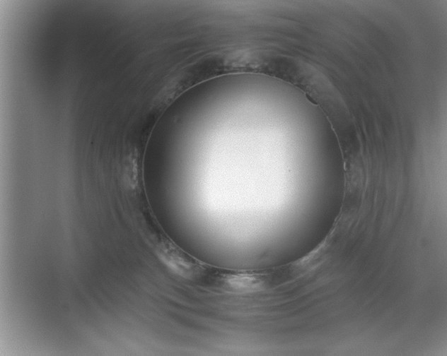 X0000071780183200607071439