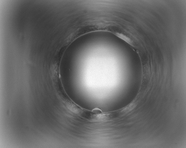 X0000071780184200607071439