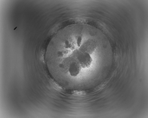 X0000071780185200607071439