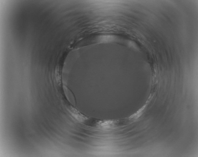 X0000071780186200607071439