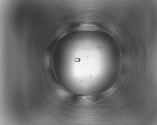 X0000071780188200607071439