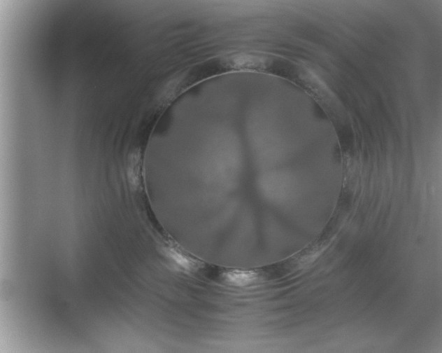 X0000071780189200607071439