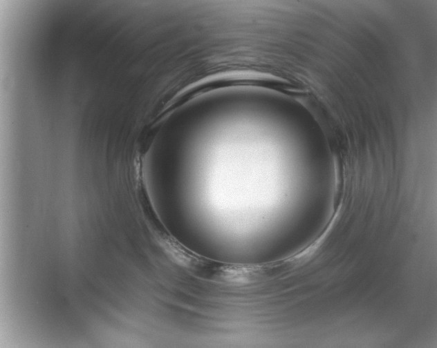 X0000071780190200607071439