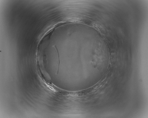 X0000071780194200607071438