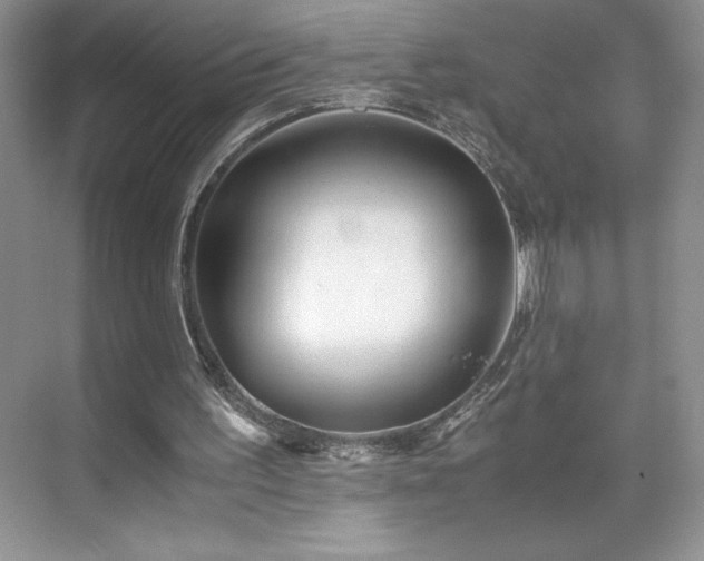 X0000071780195200607071438