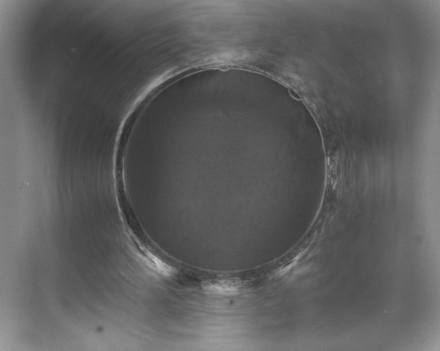 X0000071780196200607071438