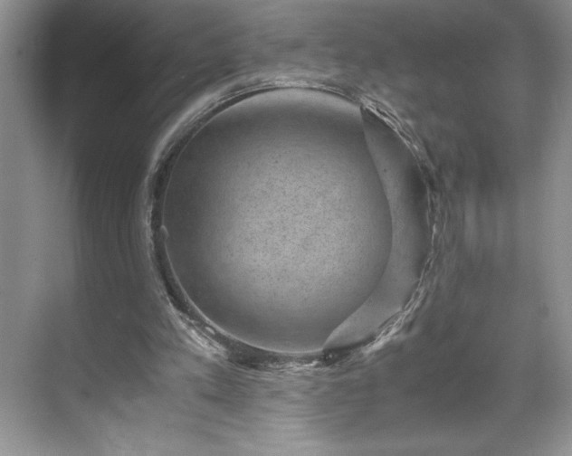 X0000071780197200607071438