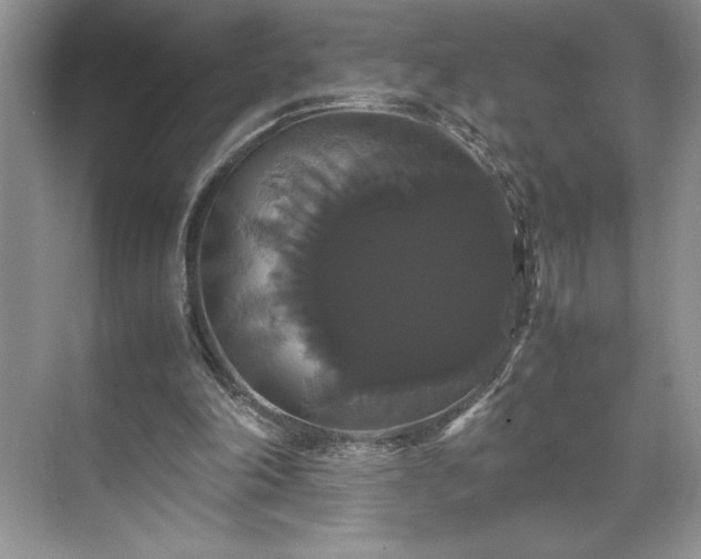 X0000071780198200607071438