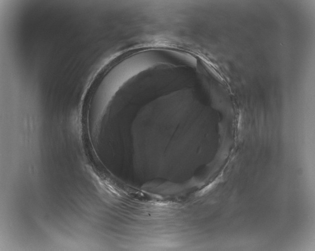 X0000071780200200607071438