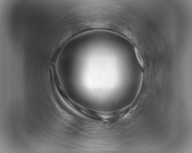 X0000071780201200607071438