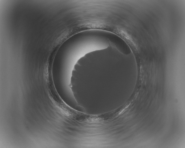 X0000071780202200607071438