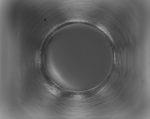 X0000071780204200607071438