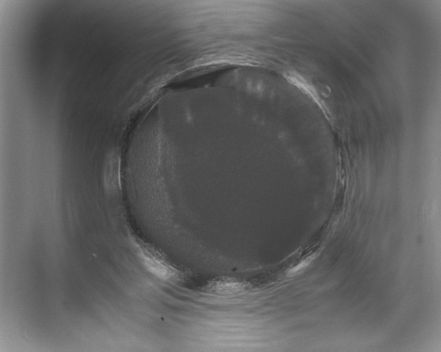 X0000071780205200607071438