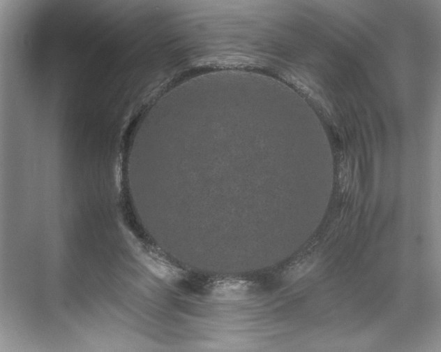 X0000071780206200607071438